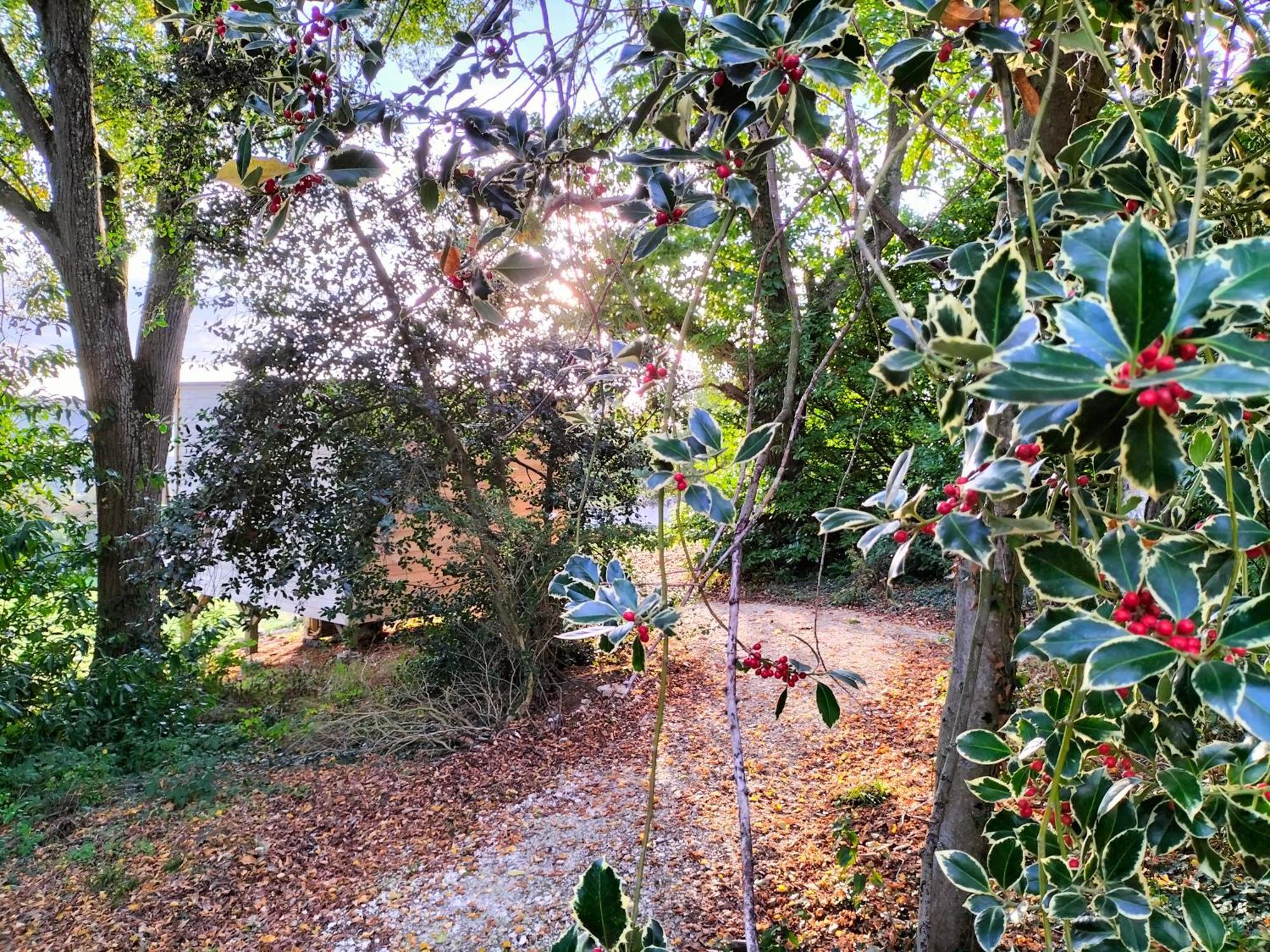 Demeure De La Garenne Bed & Breakfast Montmirail  Bagian luar foto