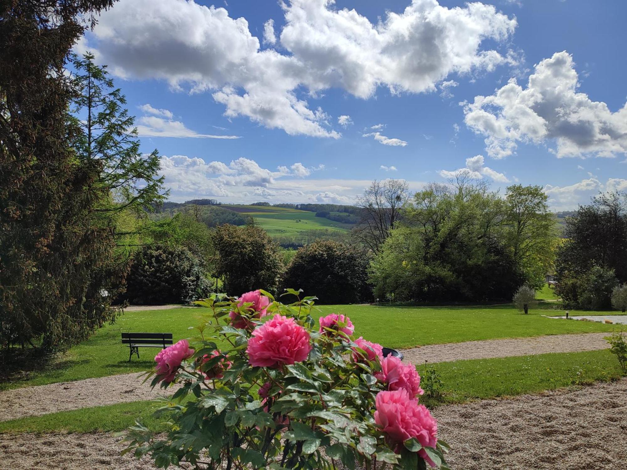 Demeure De La Garenne Bed & Breakfast Montmirail  Bagian luar foto