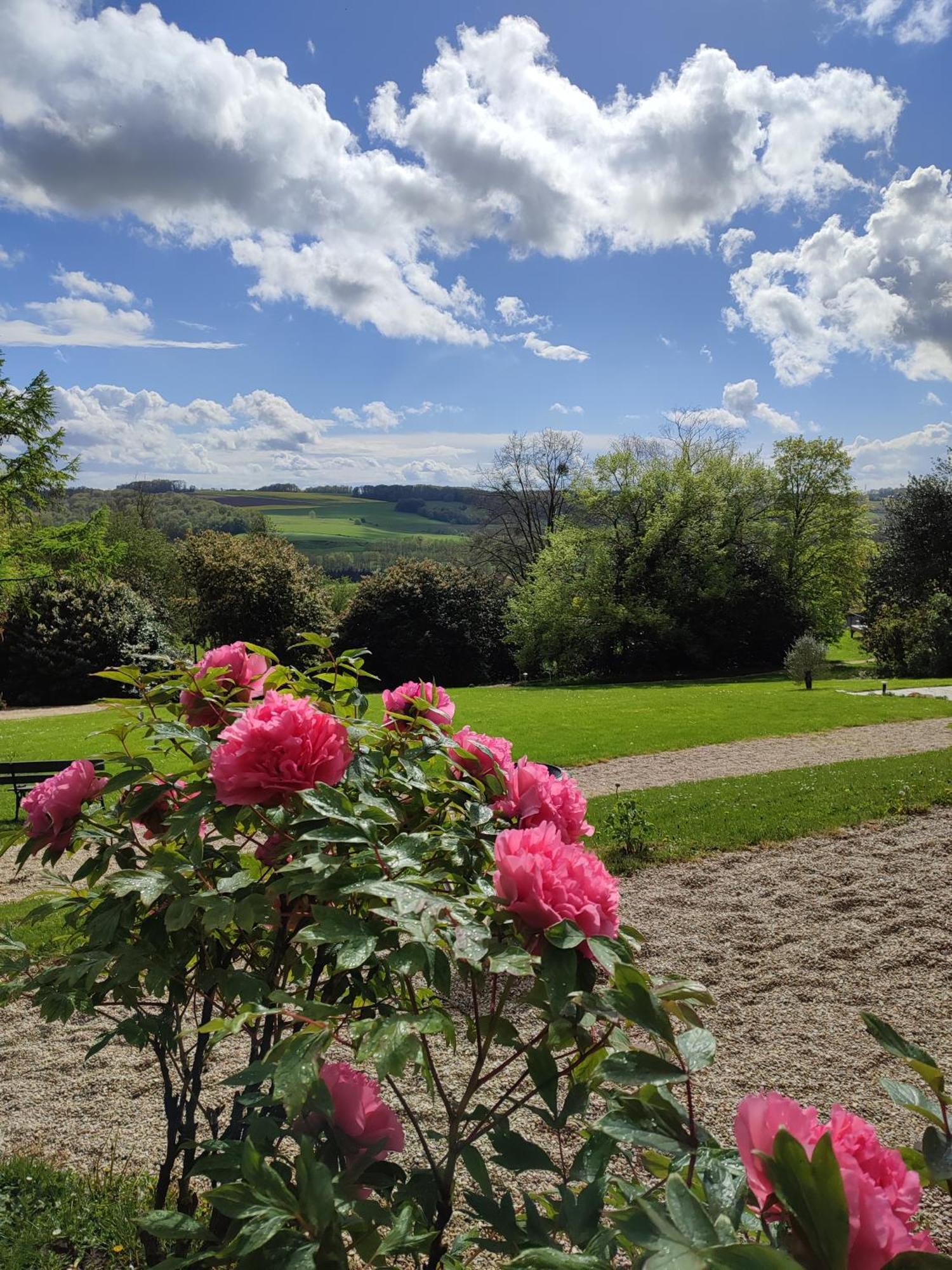 Demeure De La Garenne Bed & Breakfast Montmirail  Bagian luar foto