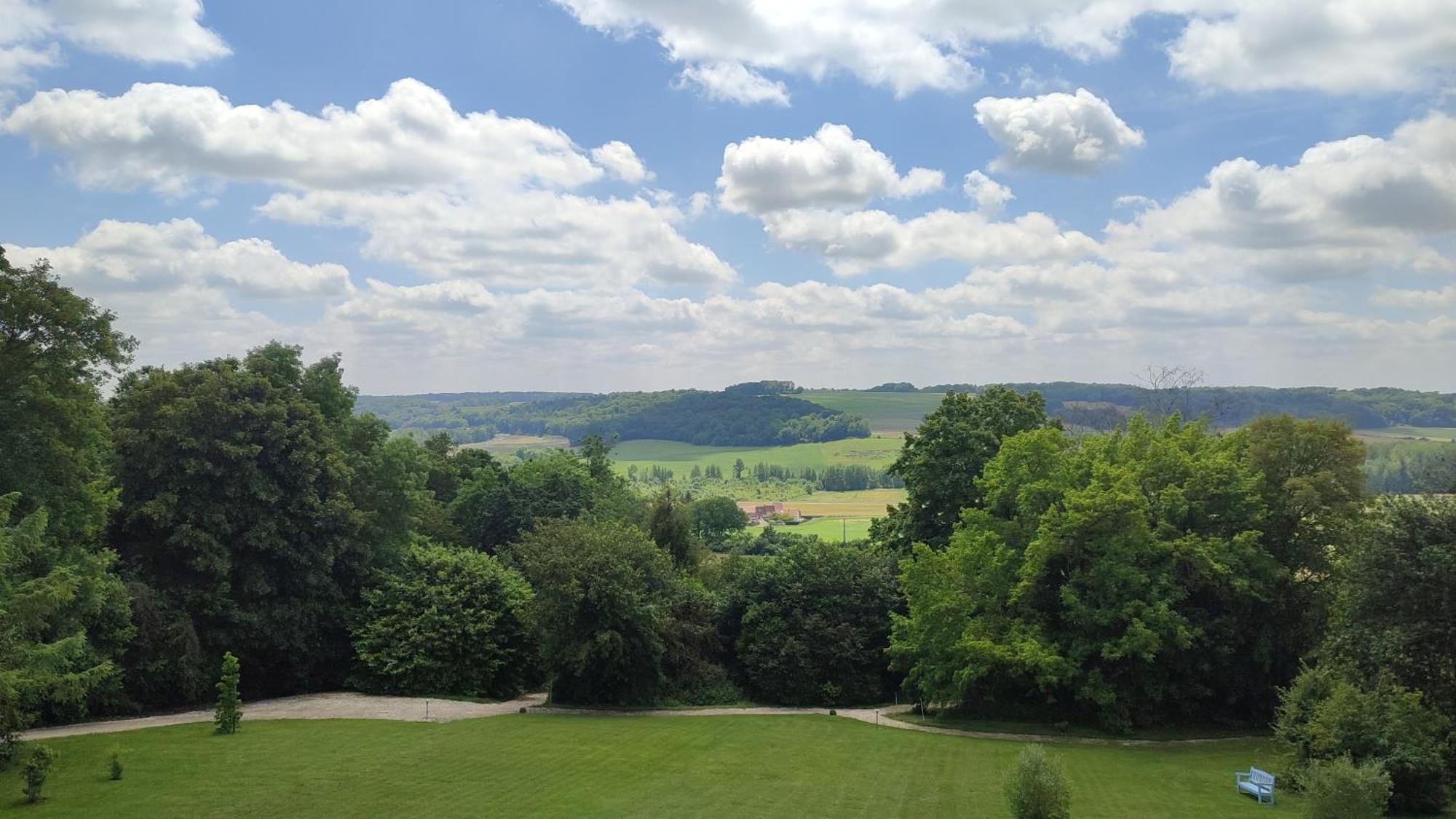 Demeure De La Garenne Bed & Breakfast Montmirail  Bagian luar foto